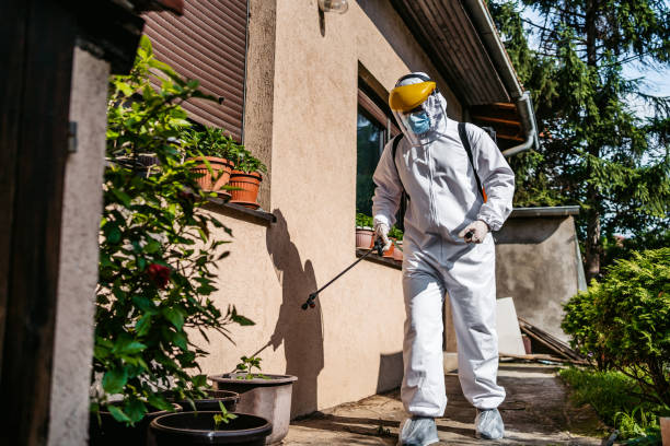 Wildlife Control Services in Kiawah Island, SC