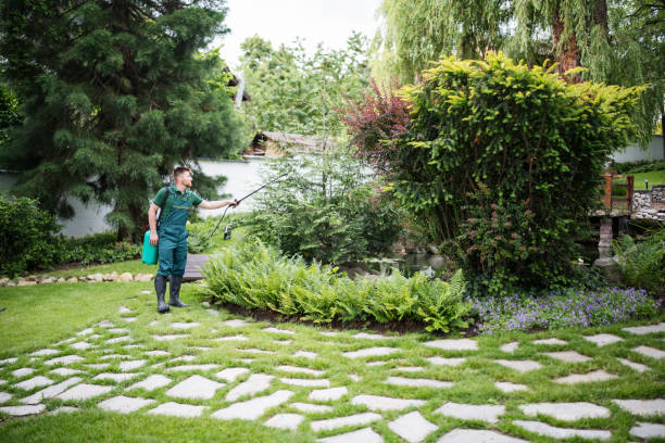 Best Wasp Removal Services  in Kiawah Island, SC