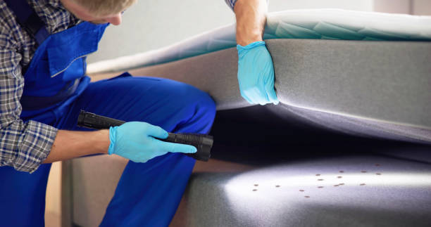 Reliable Kiawah Island, SC Pest Control Solutions