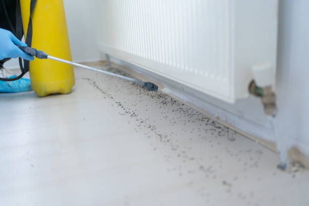 Best Residential Pest Control  in Kiawah Island, SC